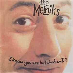 The Melniks - I Know You Are But What Am I? flac download