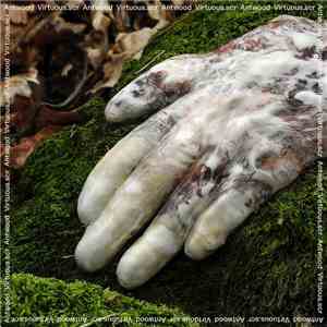 Antwood - Virtuous.scr flac download