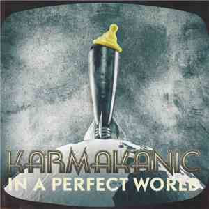 Karmakanic - In A Perfect World flac download