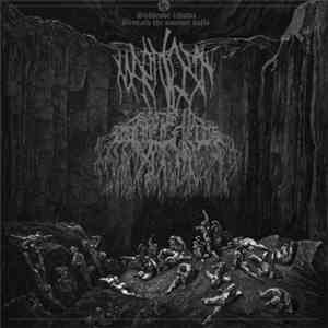 Marnost / Seeds In Barren Fields - Marnost / Seeds In Barren Fields flac download