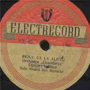 Orchestra „Desrobirea“ - Brîul Pe Șase Din Argeș / Brîul Ca la Alunu flac download