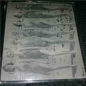 Surfcaster Beach - Bikinibabes & Beachpartys flac download