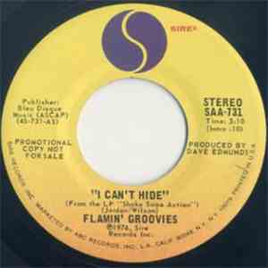 The Flamin' Groovies - I Can't Hide flac download