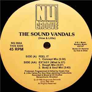 The Sound Vandals - Feel It / Extasy (What Is It?) flac download