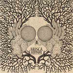 Les Yeux De La Tête - Mosca Violenta flac download