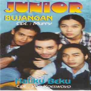 Junior  - Bujangan flac download