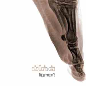 Ulna - Ligment flac download