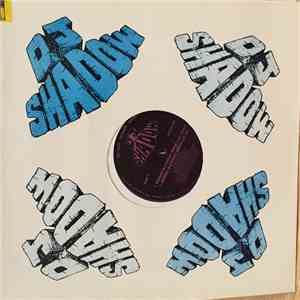 DJ Shadow - Midnight In A Perfect World flac download
