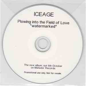 Iceage - Plowing Into The Field Of Love flac download