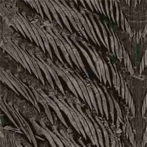 The Deathrays Of Ardilla - Daggers/Diamonds flac download