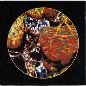 Transonic - Transonic 2 "Virtual Current" flac download