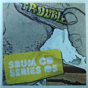 Various - SBUM CD SERIES 05 flac download