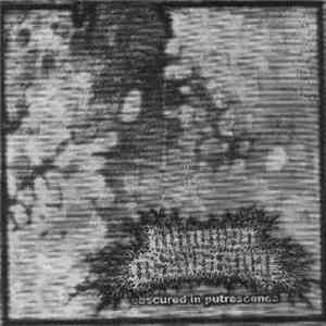 Inhuman Dissiliency - Obscured In Putrescence flac download