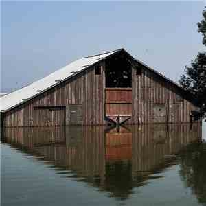 Mutts  - Pray For Rain flac download