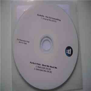 Rochelle  / Perfect Pitch  - You Got Something / Want Me Need Me flac download