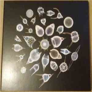 The Sea Nymphs - On The Dry Land flac download