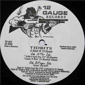 Various - Tidbits - A Blast Of 12 Gauge flac download