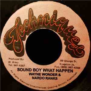 Wayne Wonder & Nardo Ranks - Sound Boy What Happen flac download