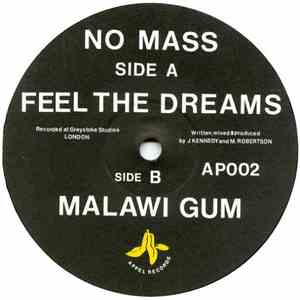 No Mass - Feel The Dreams flac download