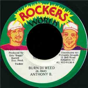 Anthony B. - Burn Di Weed flac download