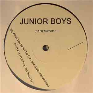 Junior Boys - What You Won't Do For Love flac download