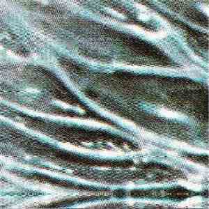 Whimpering Bogs - Pear, Paramecium, Pandemic flac download