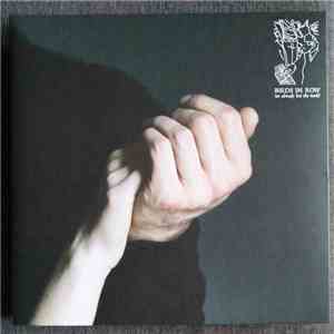 Birds In Row - We Already Lost The World flac download
