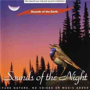David Sun  - Sounds Of The Night flac download