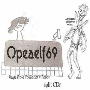 A Proper Country Picnic / Opeaelf 69 - Please Prove You're Not A Robot flac download