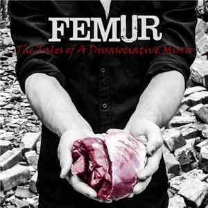 Femur. (The Music Of Joel Sweetman) - Tales Of A Dissociative Mirror flac download