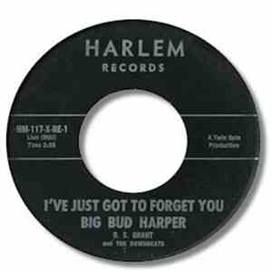 Big Bud Harper - I've Just Got To Forget You flac download
