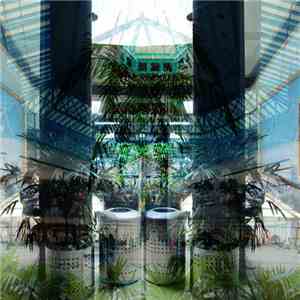 猫 シ Corp. - Catmall flac download