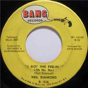 Neil Diamond - I Got The Feelin' (Oh No No) flac download