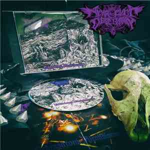 Nekro Cvlt Desecration - Nekrosatani Alcoholocausto flac download