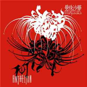 Anthelion - 曼珠沙華 (Mañjusaka) flac download