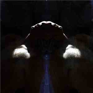 Ryan T. McKinnon - The Half​​-​​Ironic, Double​​-​​Life Of Those Who Speak Too Much And See Too Little flac download