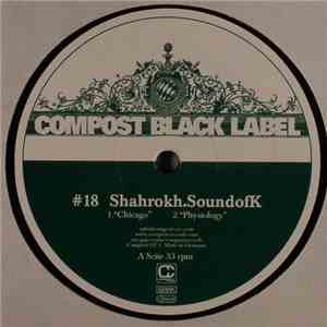 Shahrokh.SoundofK - Chicago flac download