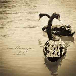 Brendan Benson - Swallow You Whole flac download