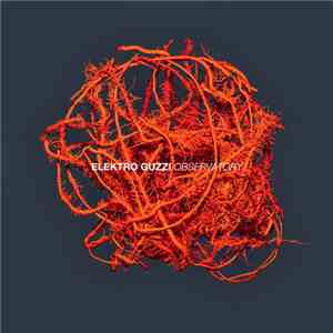 Elektro Guzzi - Observatory flac download