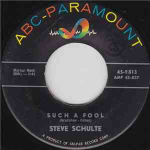 Steve Schulte  - Such A Fool flac download