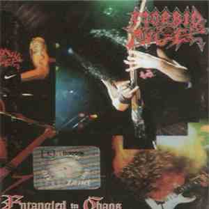 Morbid Angel - Entangled In Chaos flac download