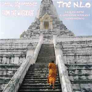 The Nasty Lol Orchestra - From The Wreckage (A 120 Bpm Experimentalist Symphony) flac download