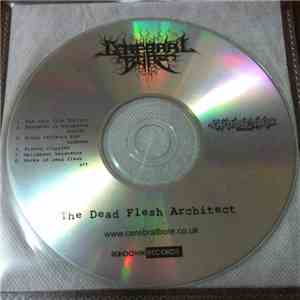 Cerebral Bore - The Dead Flesh Architect flac download
