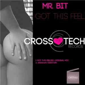 Mr. Bit - Got This Feeling EP flac download
