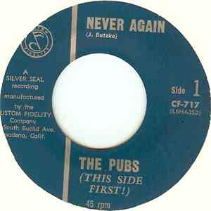 The Pubs  - Never Again / Please Patty flac download