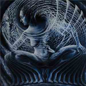 Various - Realization flac download