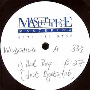 Wildchild - Bad Boy flac download