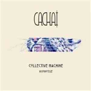 Collective Machine - Hypnotise flac download