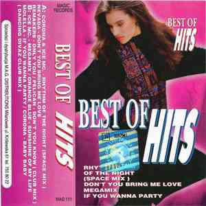 Various - Best Of Hits flac download