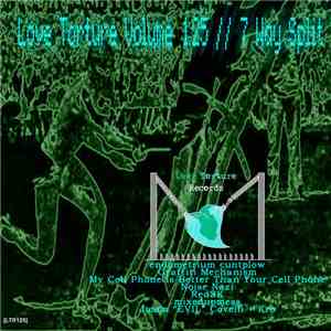 Various - Love Torture Volume 1.25 // 7 Way Split flac download